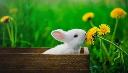 博鱼体育登录入口-比萨里还差！状态反复调整失当，皮尔洛还能卫冕吗？